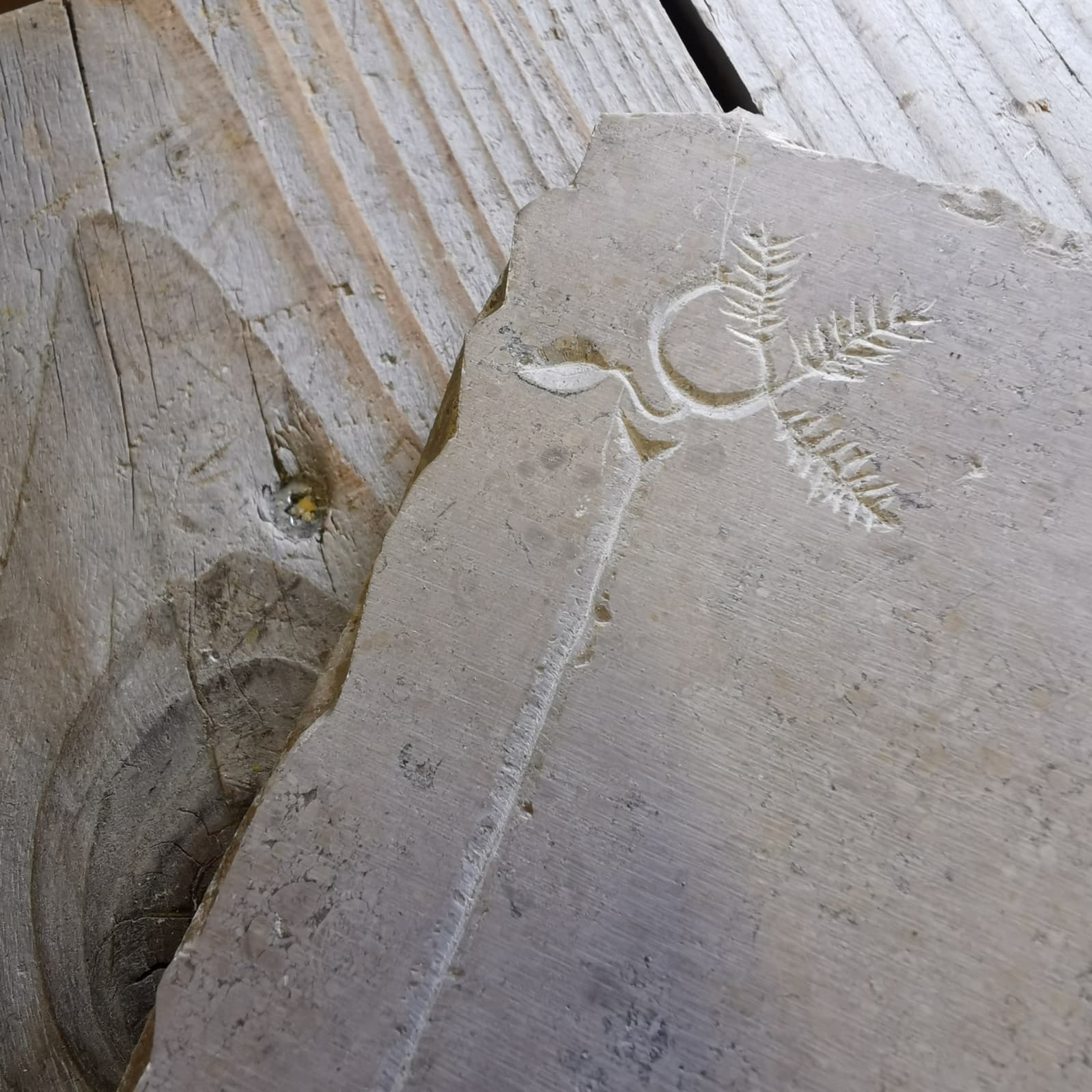 motif de décoration