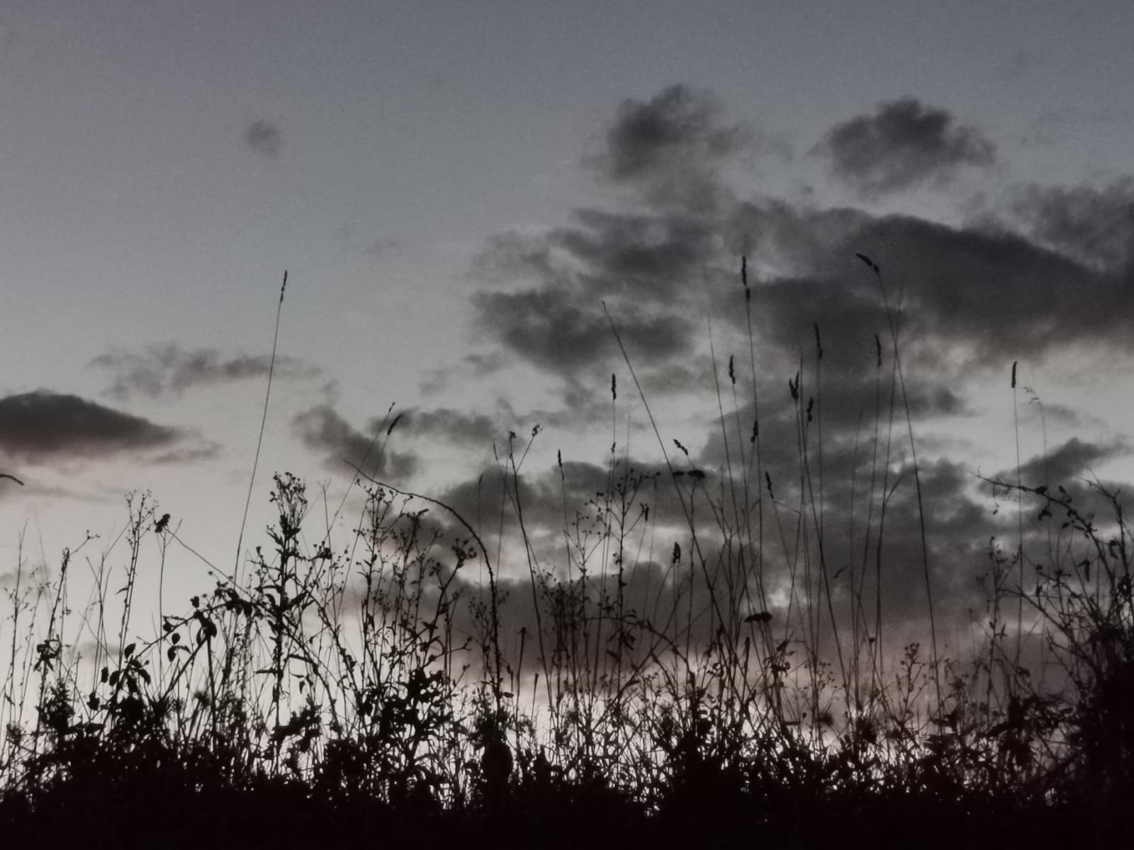 crepuscule et nature